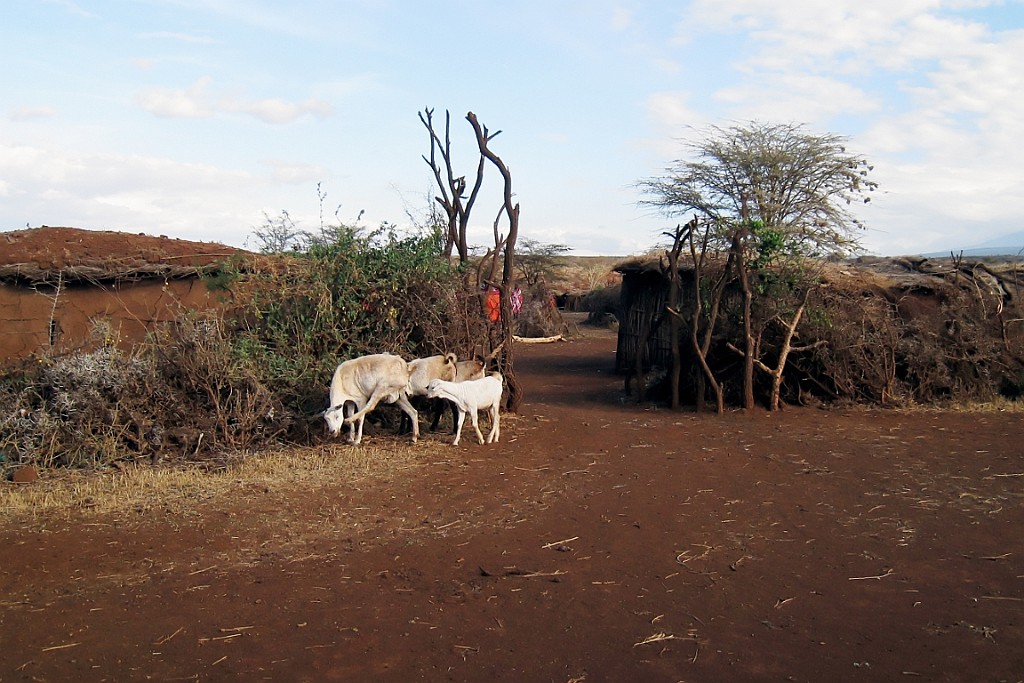 Kenia (58).jpg